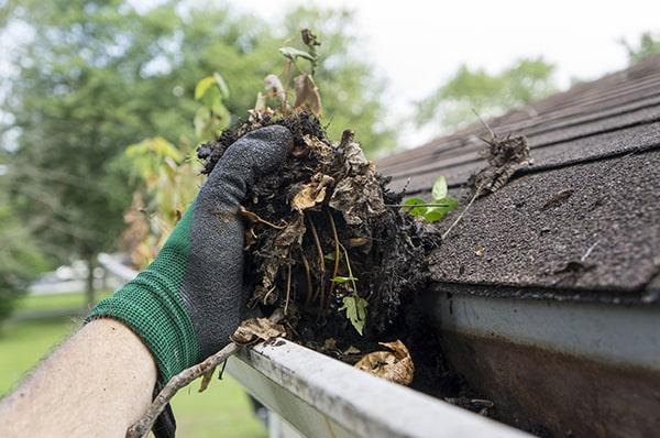 regular gutter cleaning can help prevent costly damage to your home's foundation, roof, and landscaping